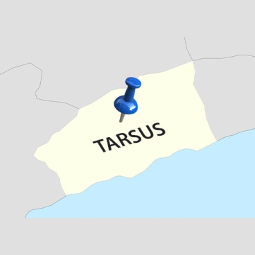 Tarsus